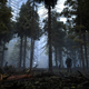 A guy stands in a forest in STALKER 2, one of the video games coming out in April 2022.